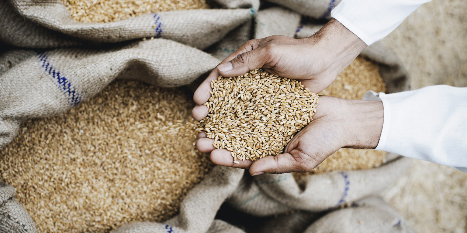 Agriculture Development & Food Security Agriculture McKinsey & Company